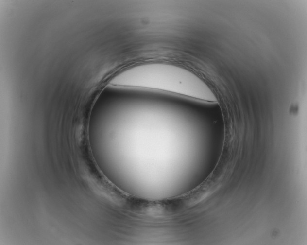X0000091860600200709050958