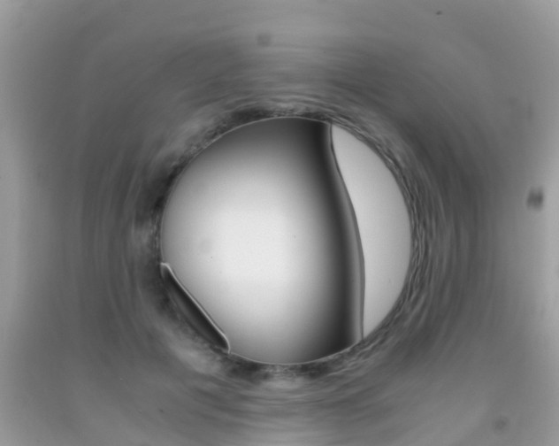 X0000091860601200709050958