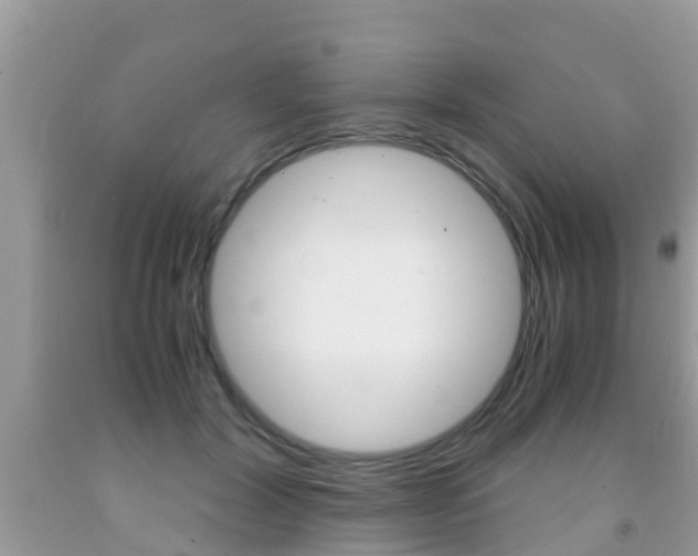 X0000091860604200709050958