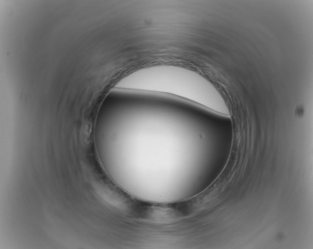 X0000091860605200709050958