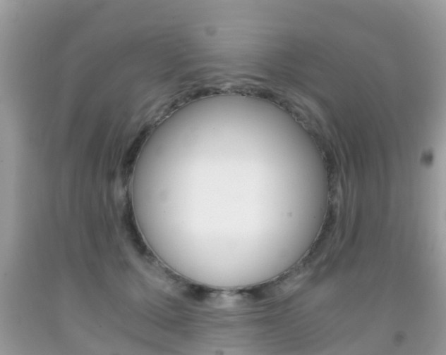 X0000091860607200709050958