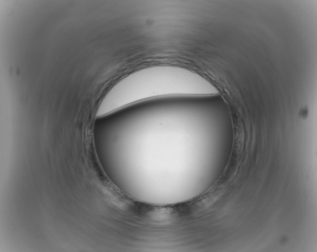 X0000091860609200709050958