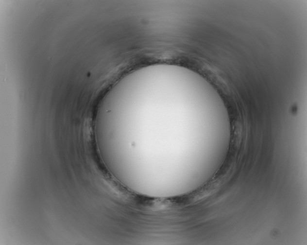 X0000091860612200709050958