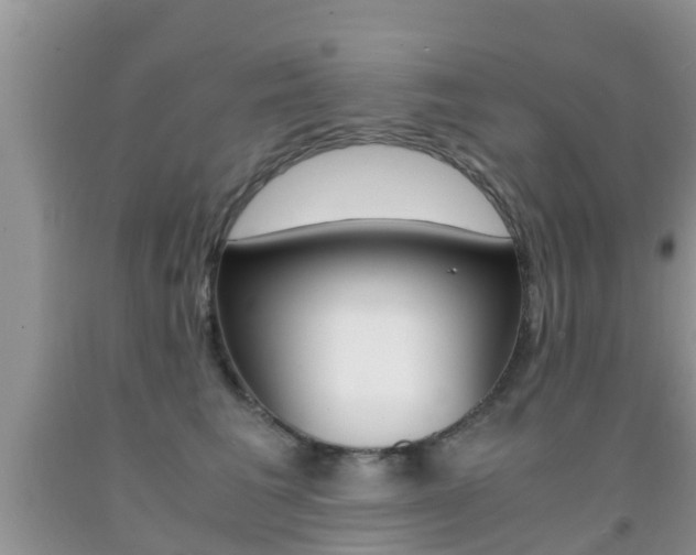 X0000091860613200709050958