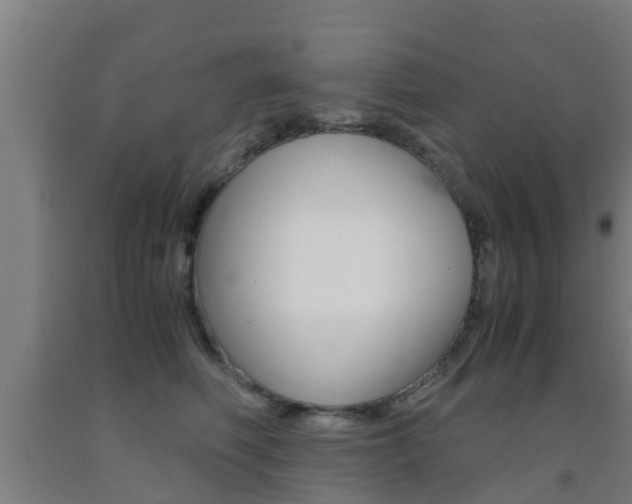 X0000091860614200709050958