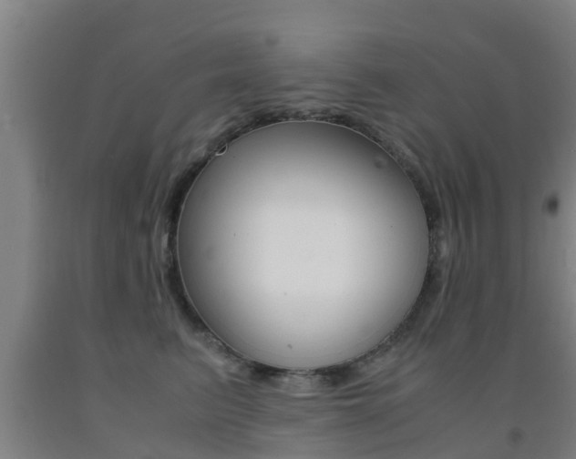 X0000091860615200709050958