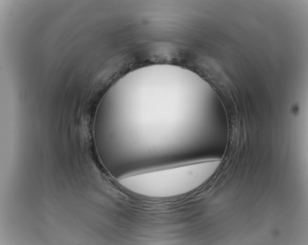 X0000091860616200709050958