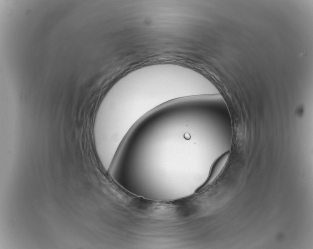 X0000091860617200709050958