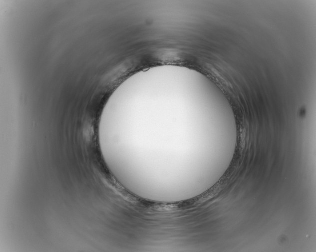 X0000091860618200709050958