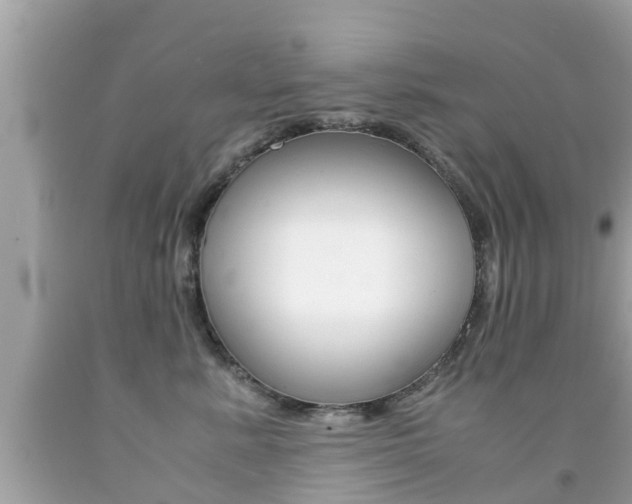 X0000091860619200709050958