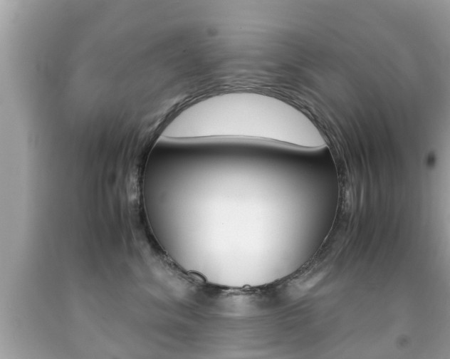X0000091860620200709050958