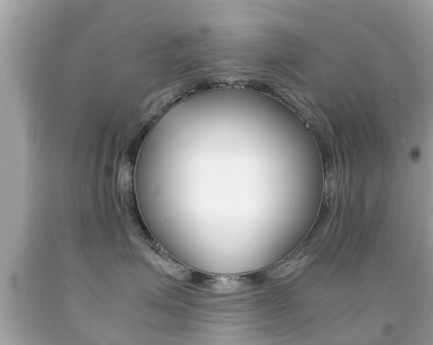X0000091860623200709050958