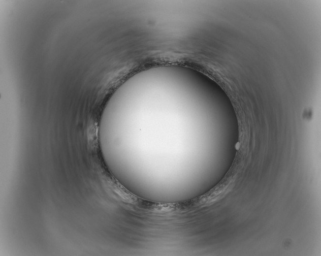 X0000091860624200709050958