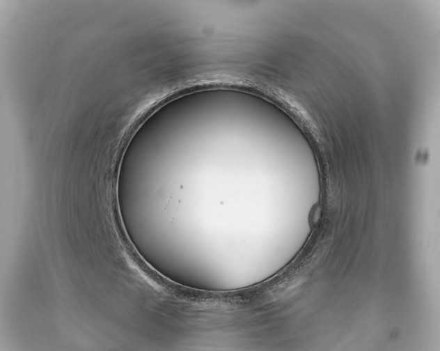 X0000091860625200709050957