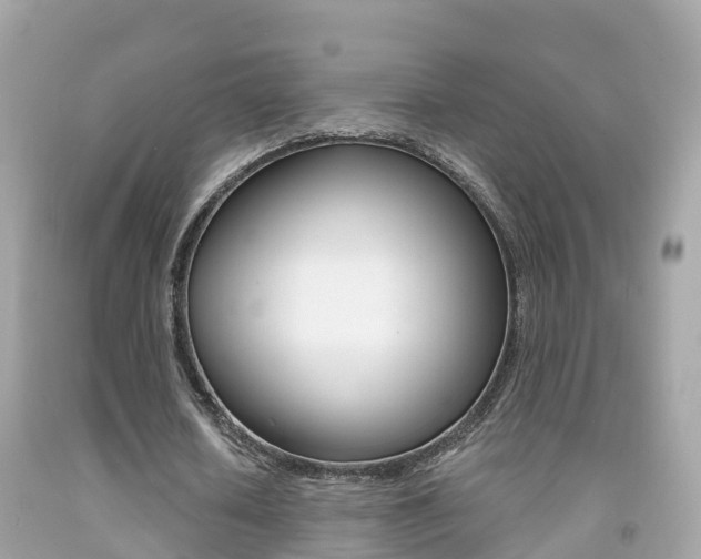 X0000091860626200709050957