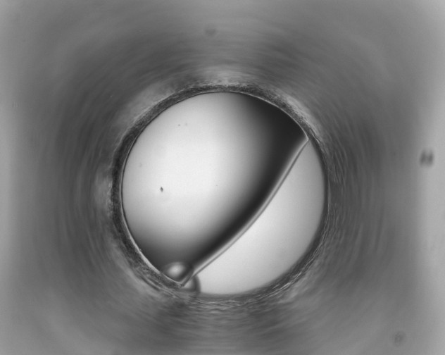 X0000091860627200709050957