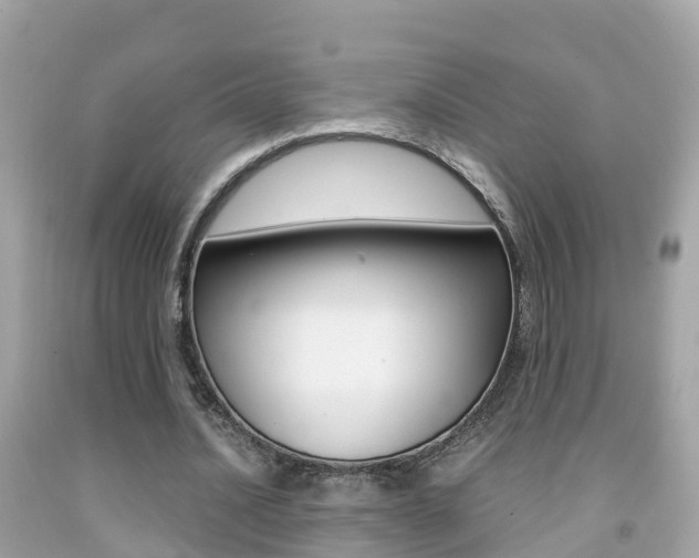 X0000091860628200709050957