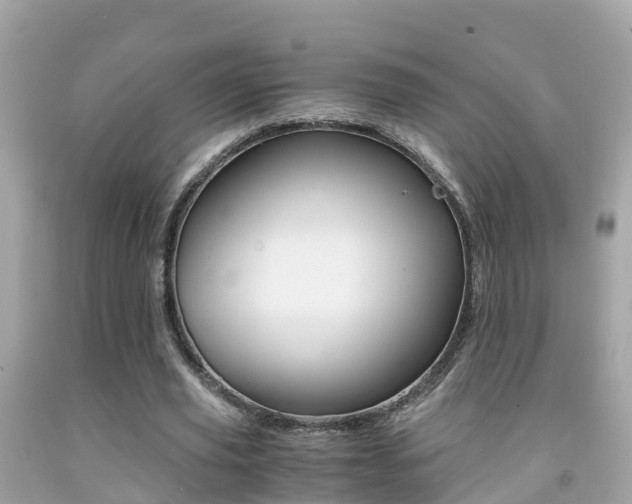 X0000091860629200709050957