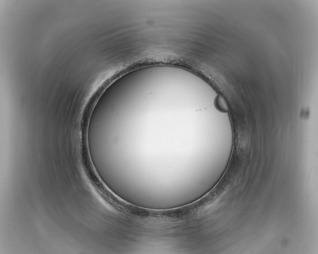 X0000091860630200709050957
