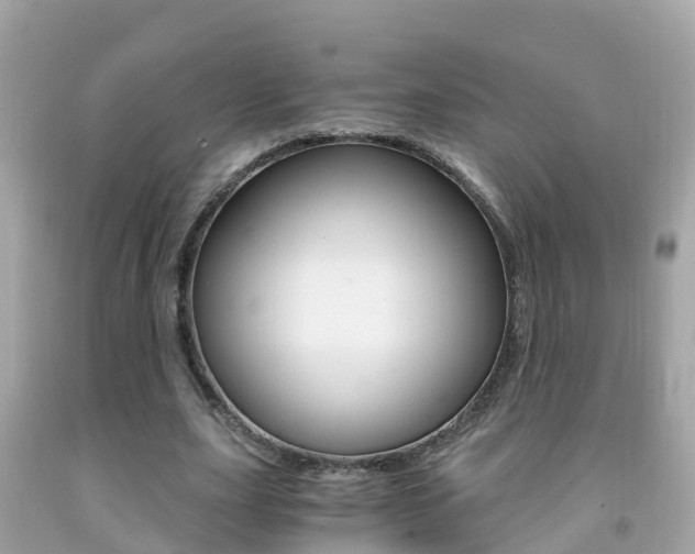 X0000091860631200709050957