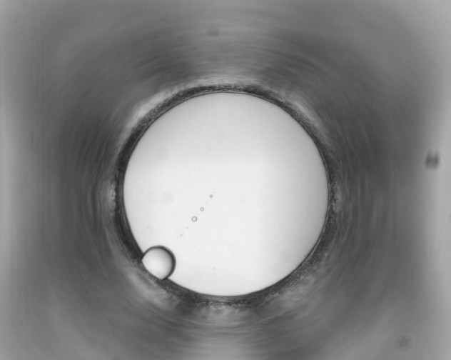 X0000091860632200709050957