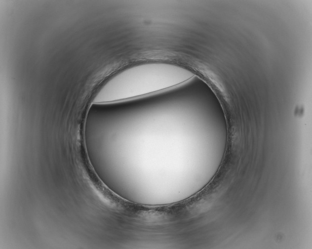 X0000091860633200709050957