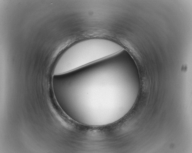 X0000091860634200709050957