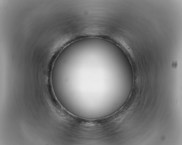 X0000091860635200709050957