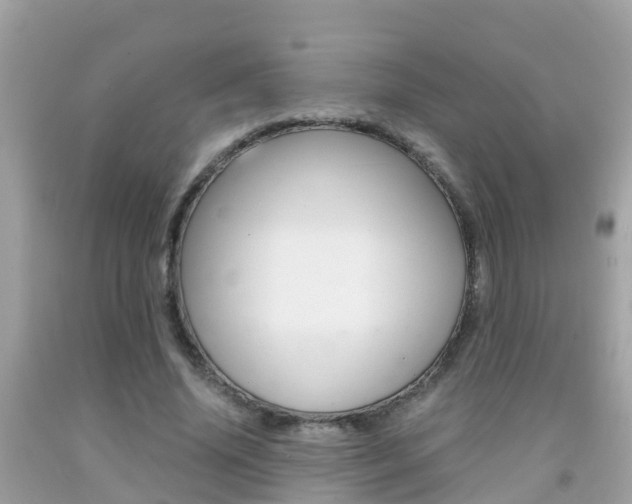 X0000091860636200709050958