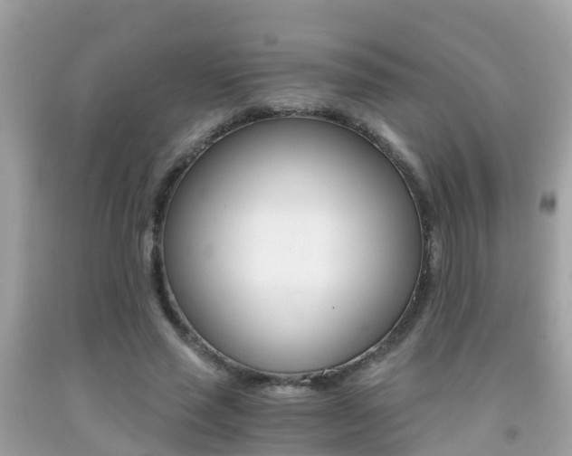 X0000091860637200709050958