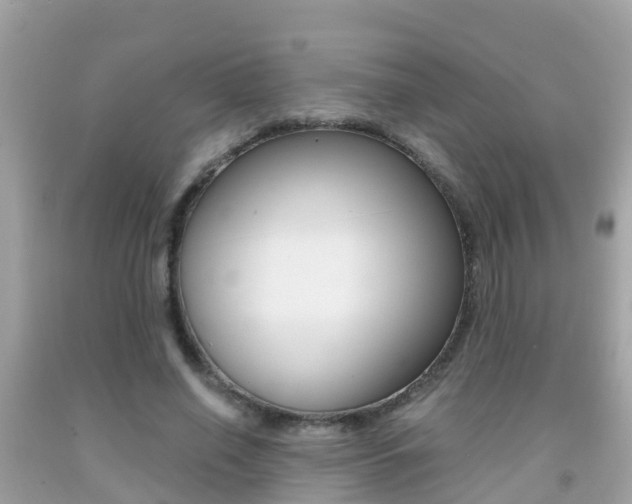 X0000091860638200709050958