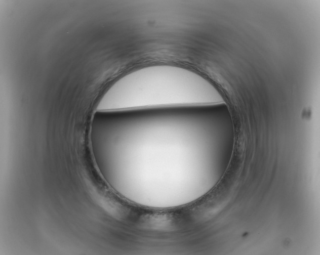 X0000091860639200709050958