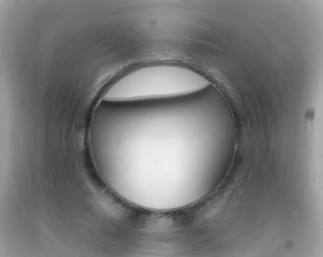 X0000091860640200709050958