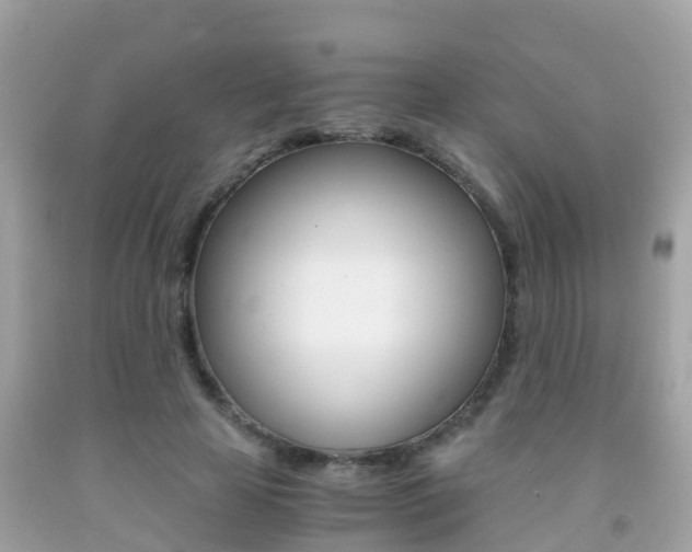 X0000091860641200709050958