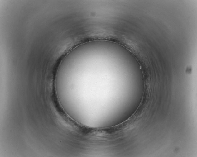 X0000091860642200709050958
