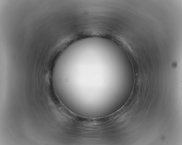 X0000091860643200709050958
