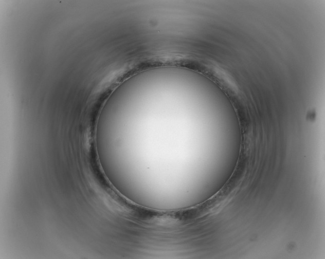 X0000091860644200709050958