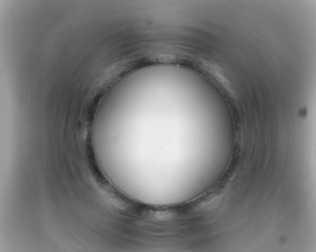 X0000091860645200709050958