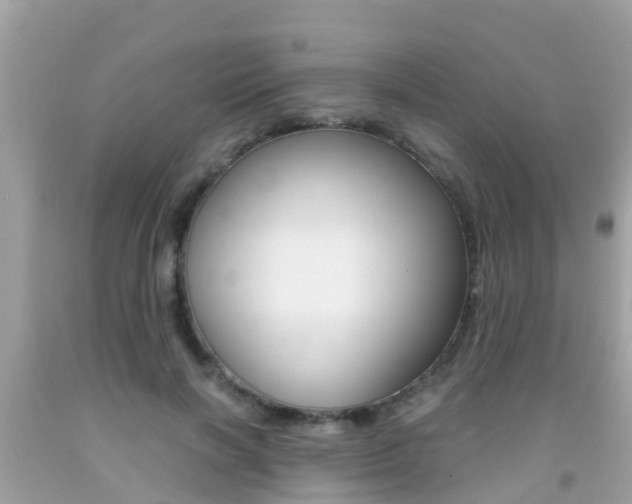 X0000091860646200709050958
