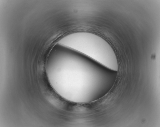 X0000091860648200709050958