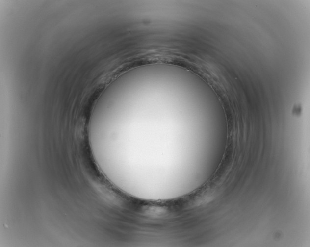 X0000091860649200709050958