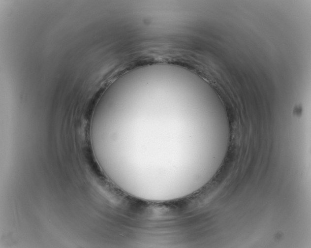X0000091860650200709050958
