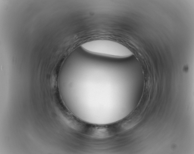 X0000091860651200709050958