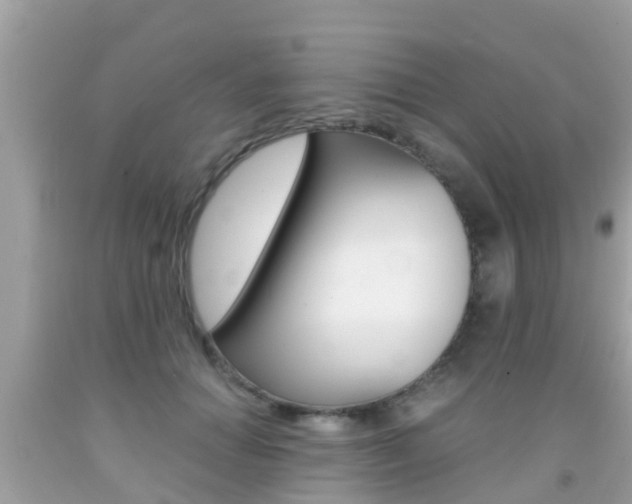X0000091860654200709050958