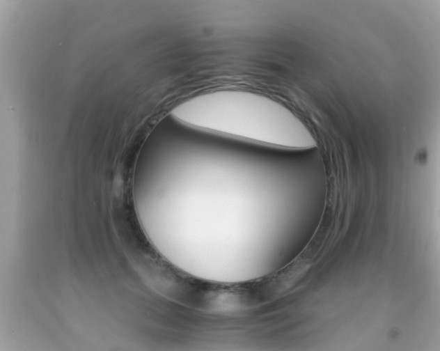 X0000091860655200709050958