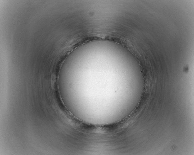 X0000091860656200709050958