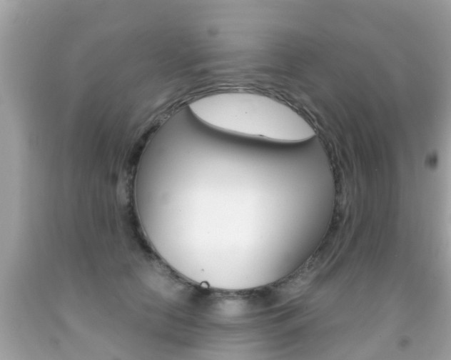X0000091860658200709050958