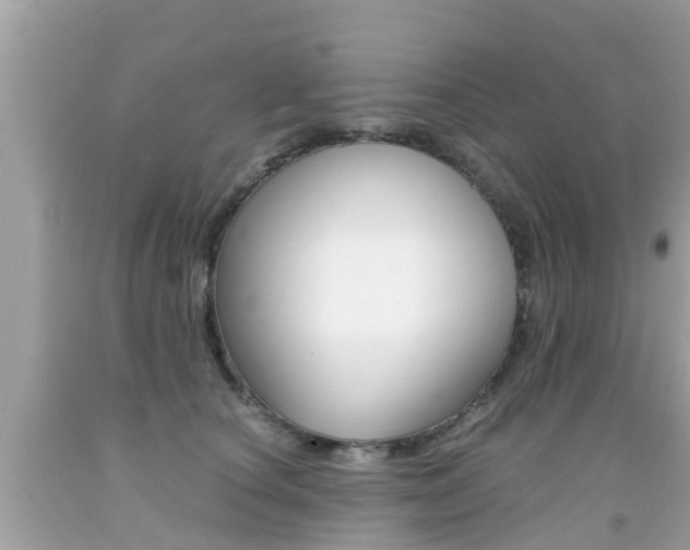X0000091860660200709050958