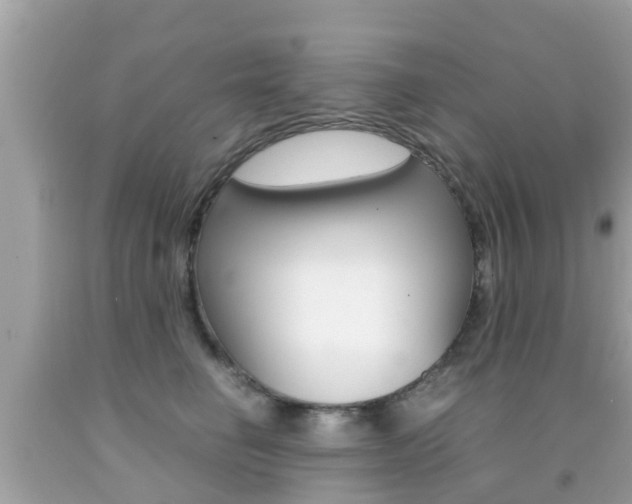 X0000091860662200709050958