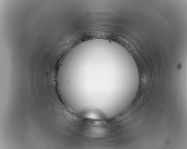 X0000091860663200709050958